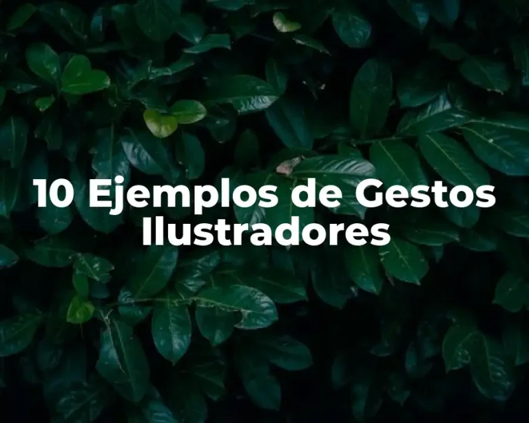 10 Ejemplos de Gestos Ilustradores