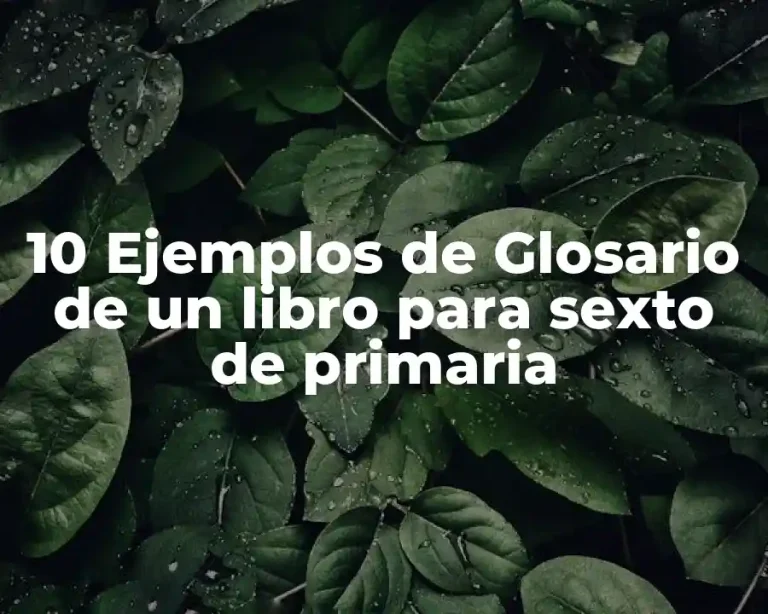 10 Ejemplos de Glosario de un libro para sexto de primaria