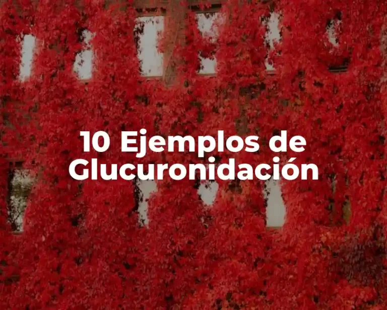 10 Ejemplos de Glucuronidación