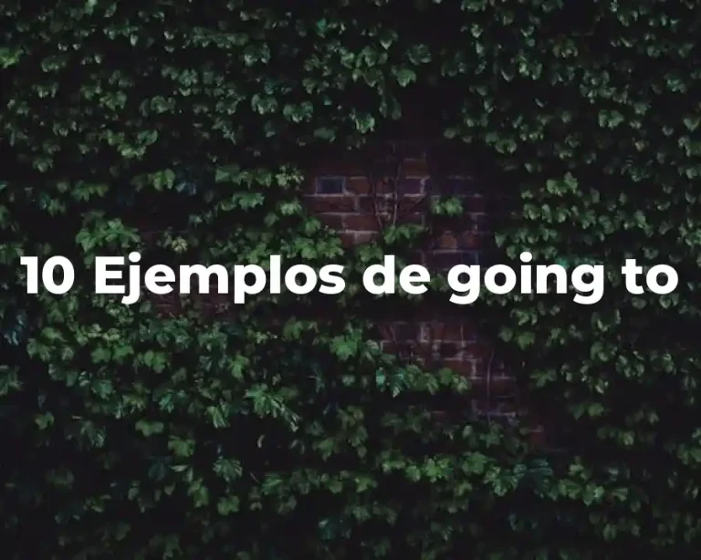 10 Ejemplos de going to