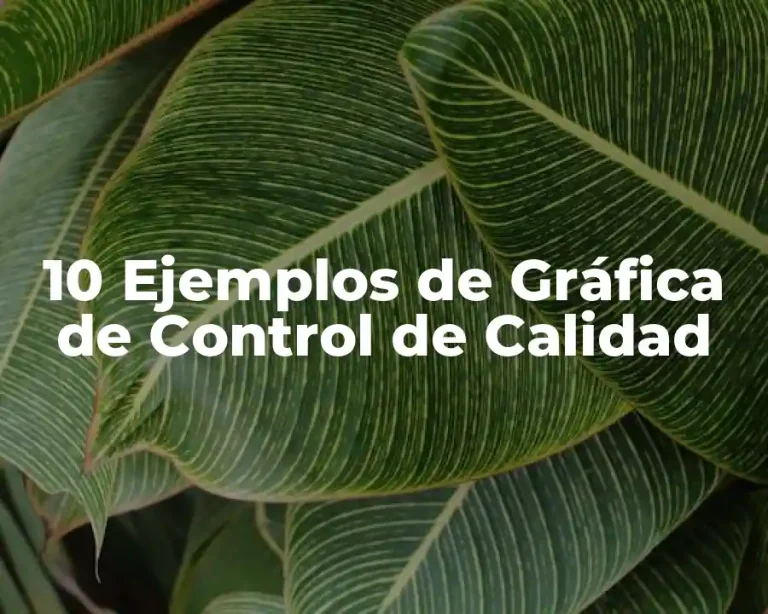 10 Ejemplos de Gráfica de Control de Calidad