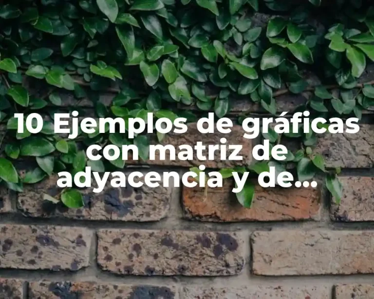 10 Ejemplos de gráficas con matriz de adyacencia y de incidencia