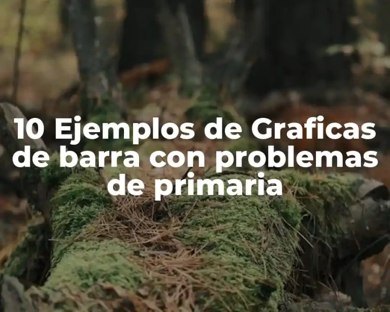 10 Ejemplos de Graficas de barra con problemas de primaria