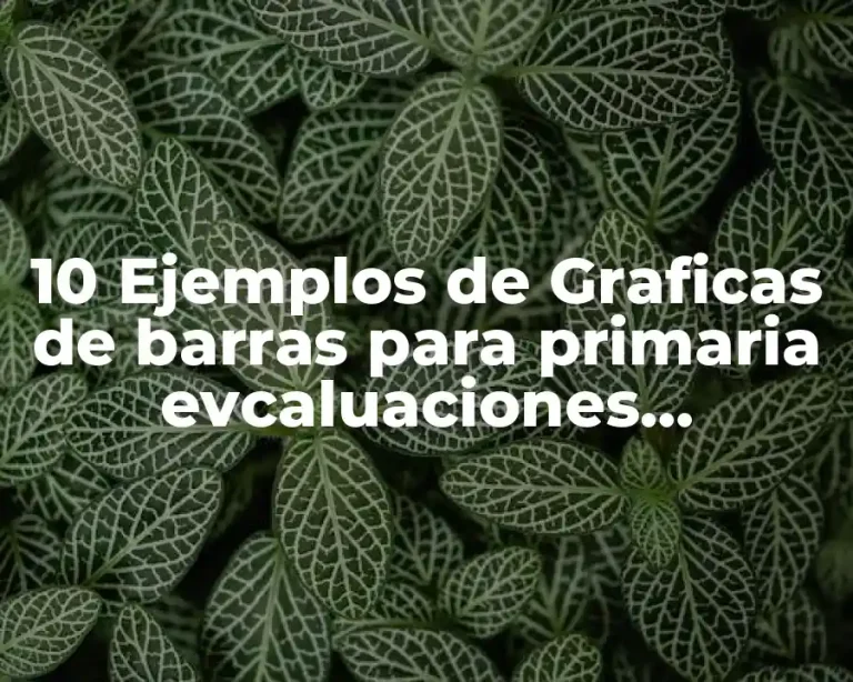 10 Ejemplos de Graficas de barras para primaria evcaluaciones bimestrales