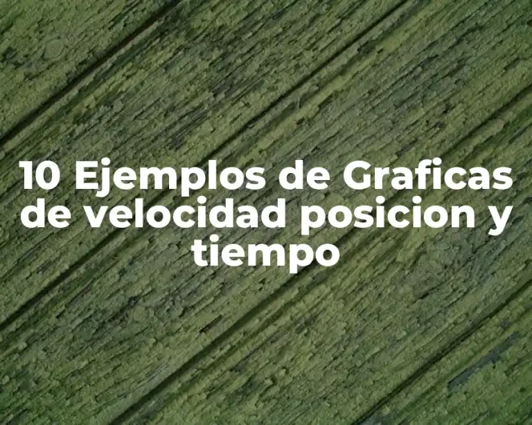 10 Ejemplos de Graficas de velocidad posicion y tiempo
