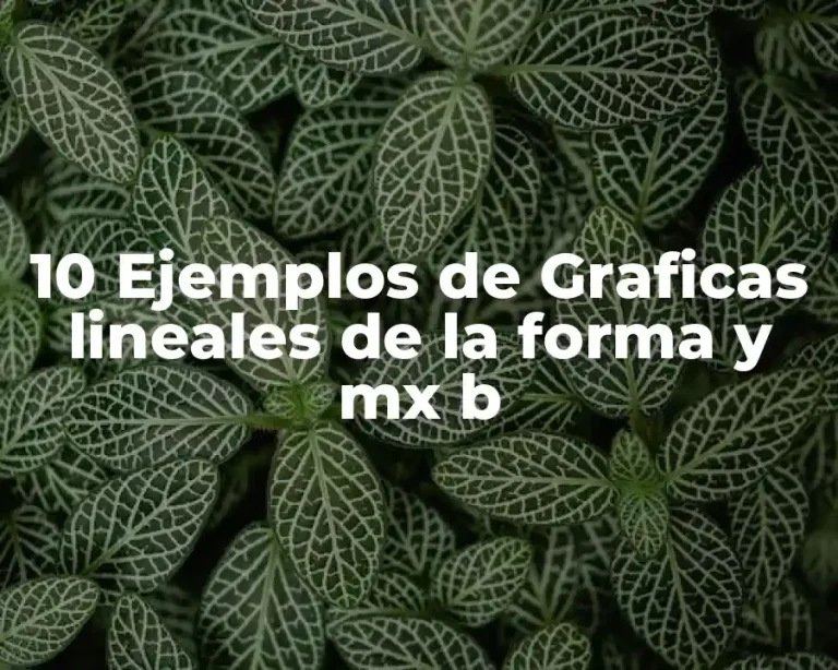 10 Ejemplos de Graficas lineales de la forma y mx b