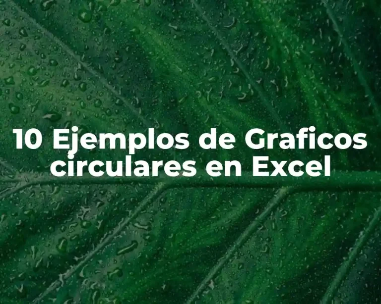 10 Ejemplos de Graficos circulares en Excel