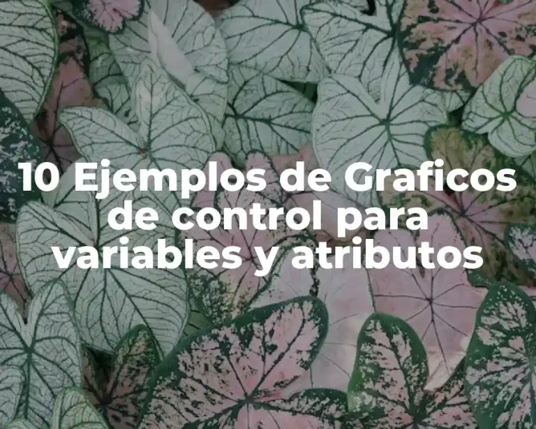 10 Ejemplos de Graficos de control para variables y atributos