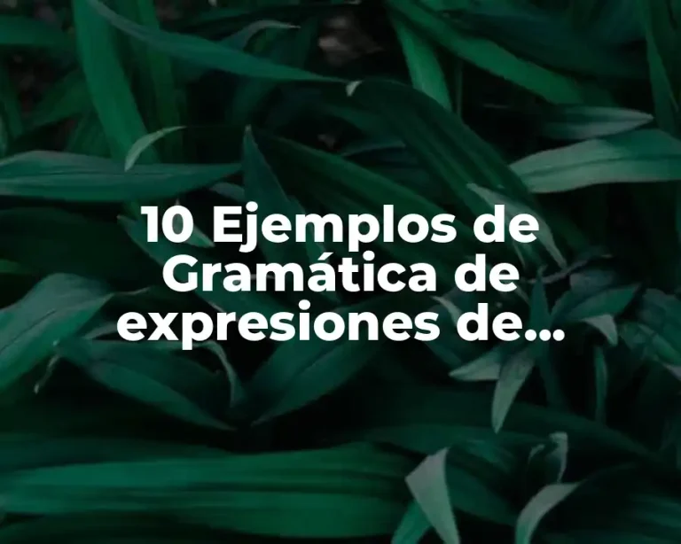 10 Ejemplos de Gramática de expresiones de opiniones en inglés