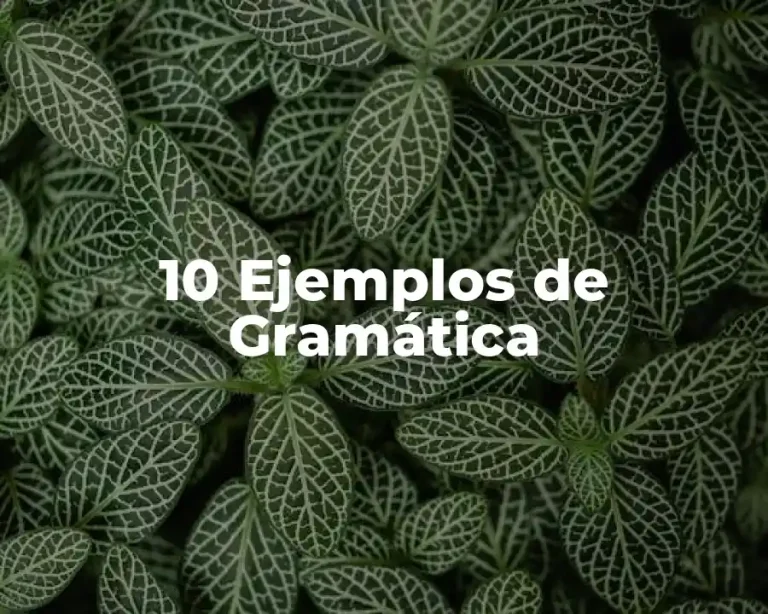 10 Ejemplos de Gramática