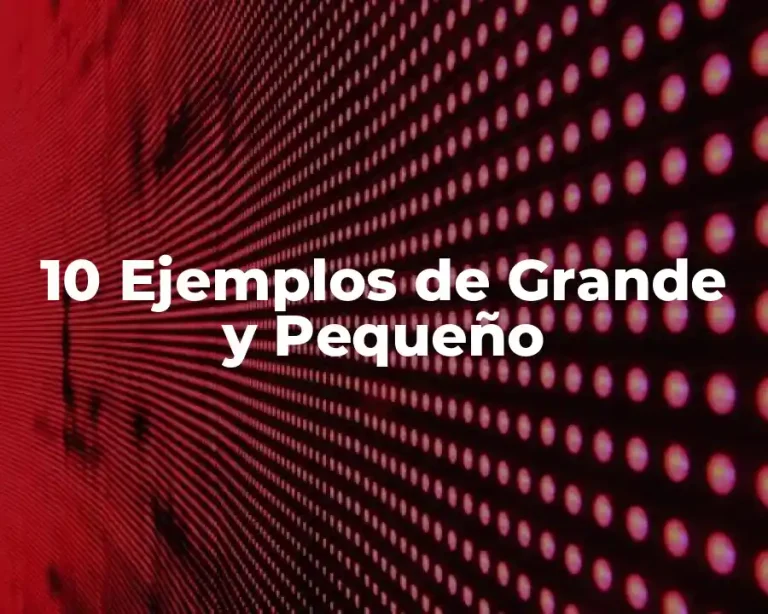 10 Ejemplos de Grande y Pequeño