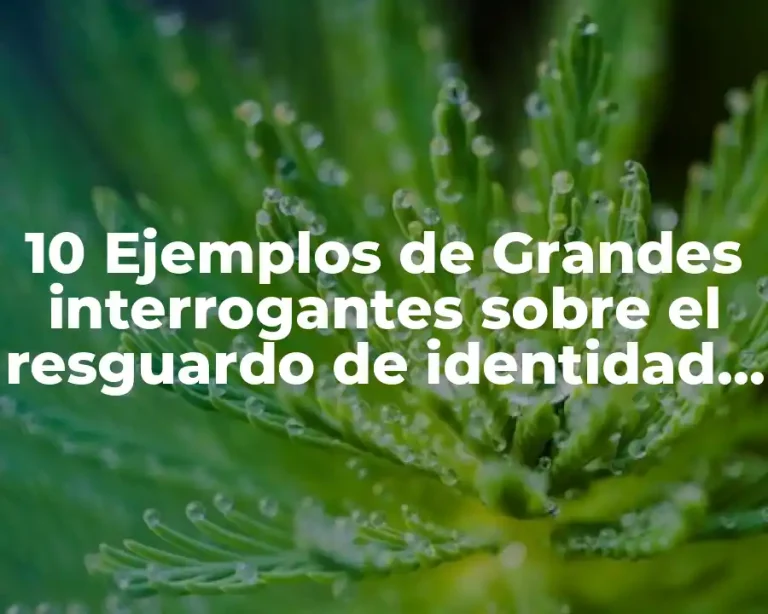 10 Ejemplos de Grandes interrogantes sobre el resguardo de identidad digital