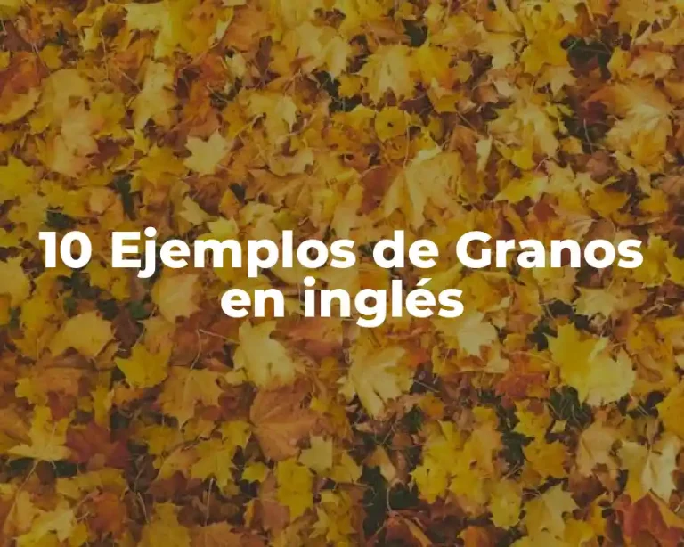 10 Ejemplos de Granos en inglés