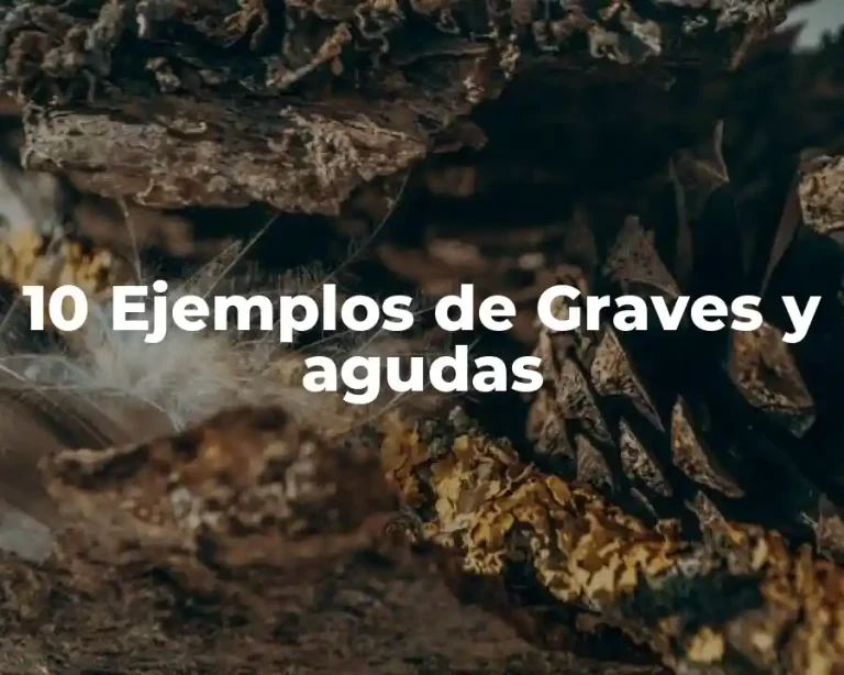 10 Ejemplos de Graves y agudas