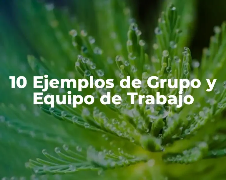 10 Ejemplos de Grupo y Equipo de Trabajo