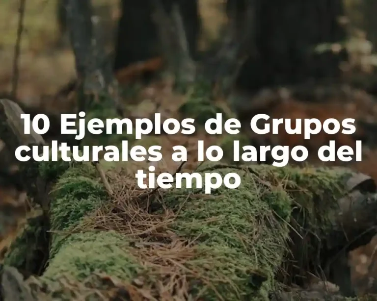 10 Ejemplos de Grupos culturales a lo largo del tiempo