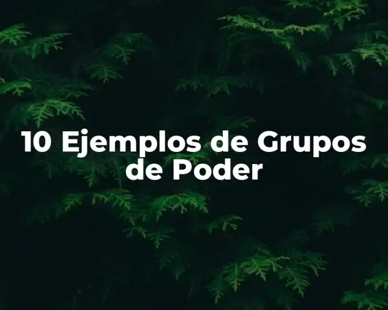 10 Ejemplos de Grupos de Poder