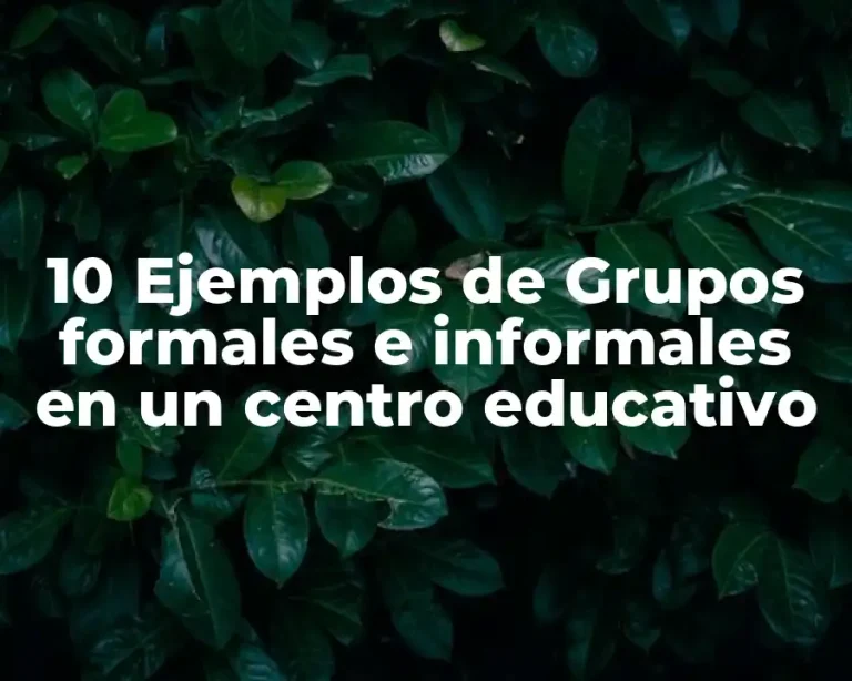 10 Ejemplos de Grupos formales e informales en un centro educativo