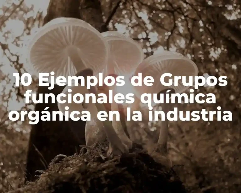10 Ejemplos de Grupos funcionales química orgánica en la industria