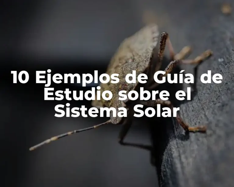 10 Ejemplos de Guía de Estudio sobre el Sistema Solar