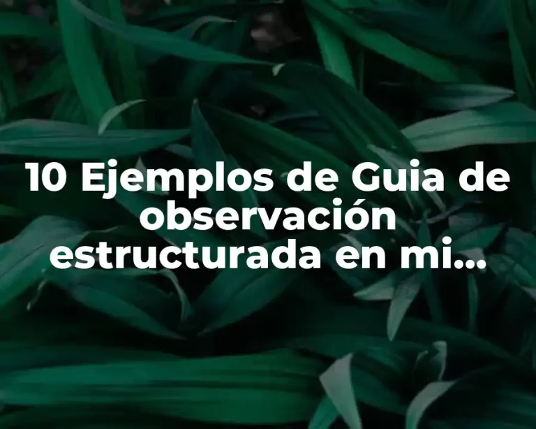 10 Ejemplos de Guia de observación estructurada en mi comunidad