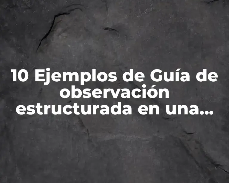 10 Ejemplos de Guía de observación estructurada en una comunidad