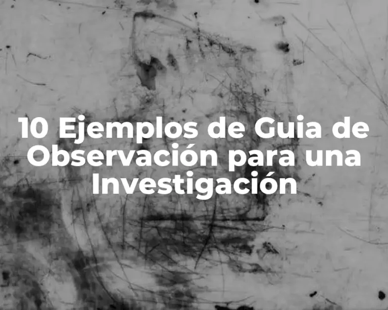 10 Ejemplos de Guia de Observación para una Investigación