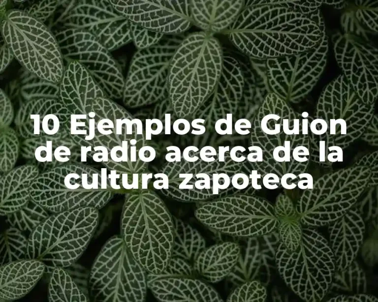 10 Ejemplos de Guion de radio acerca de la cultura zapoteca