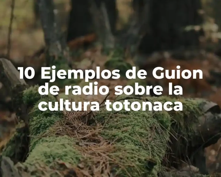 10 Ejemplos de Guion de radio sobre la cultura totonaca