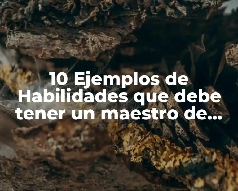 10 Ejemplos de Habilidades que debe tener un maestro de campamento