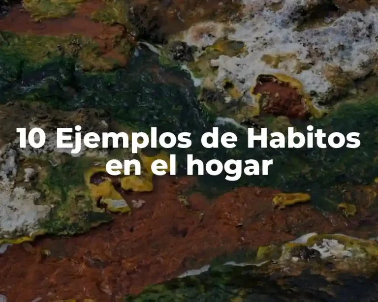 10 Ejemplos de Habitos en el hogar