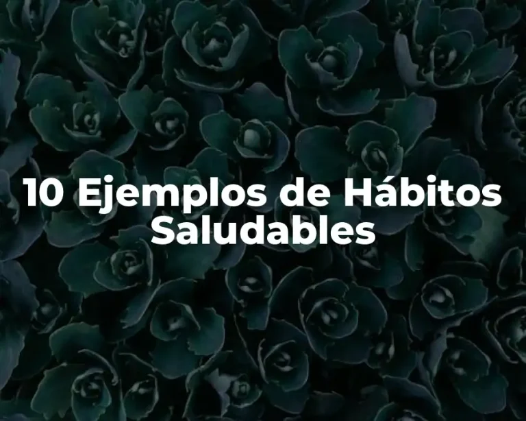 10 Ejemplos de Hábitos Saludables
