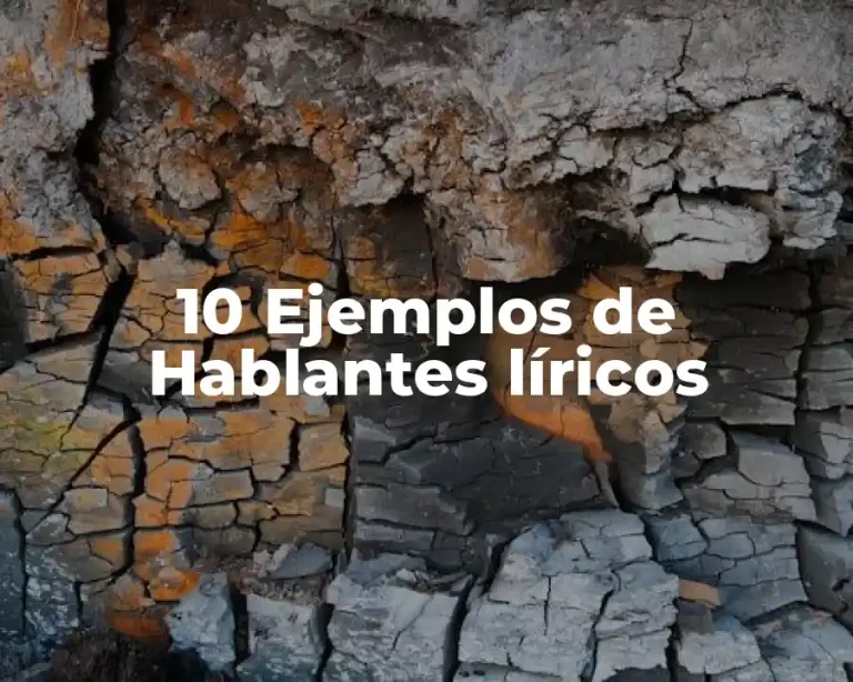 10 Ejemplos de Hablantes líricos