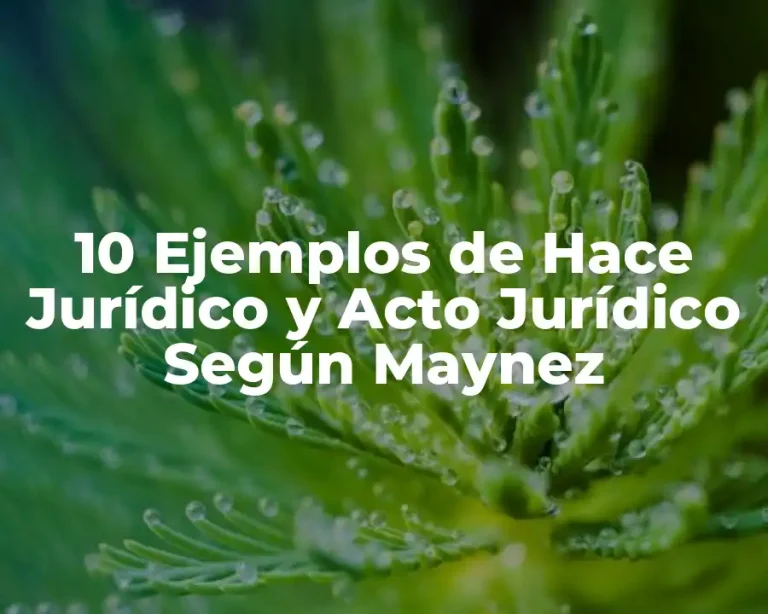 10 Ejemplos de Hace Jurídico y Acto Jurídico Según Maynez