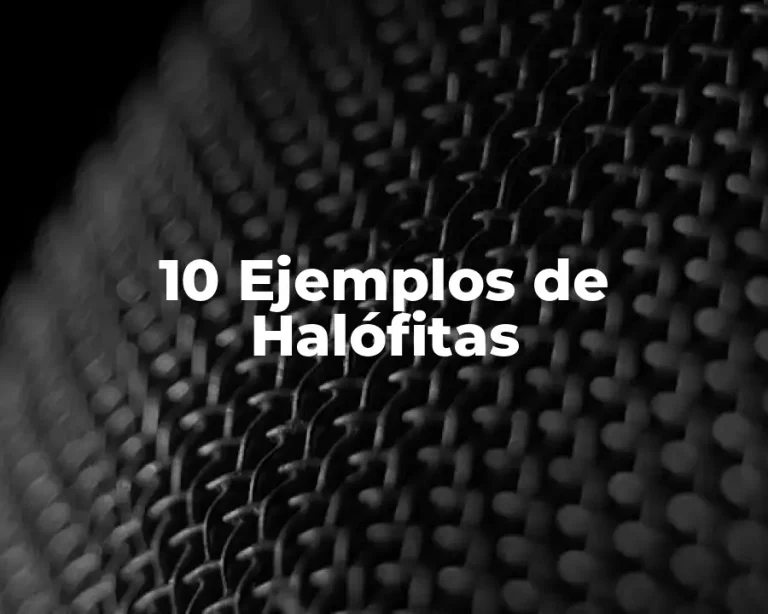 10 Ejemplos de Halófitas