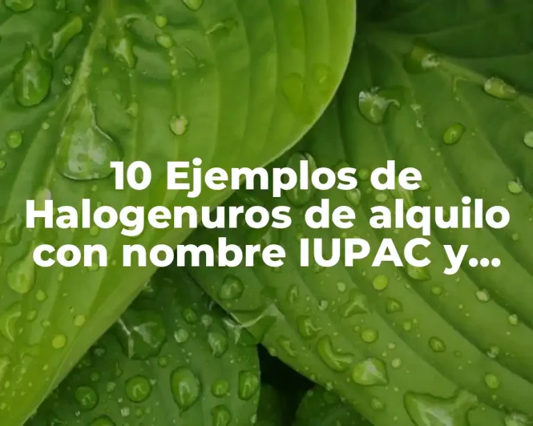 10 Ejemplos de Halogenuros de alquilo con nombre IUPAC y común