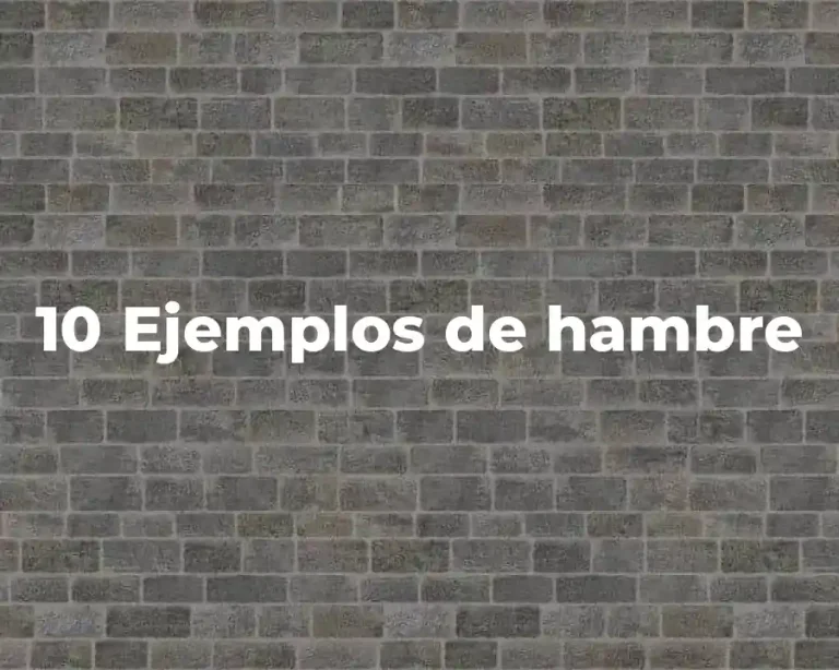 10 Ejemplos de hambre