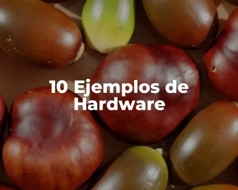 10 Ejemplos de Hardware