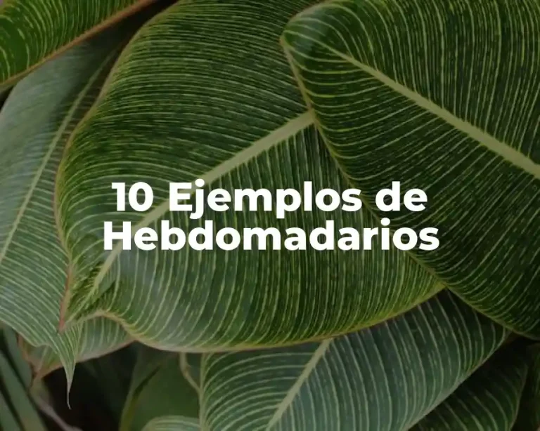 10 Ejemplos de Hebdomadarios