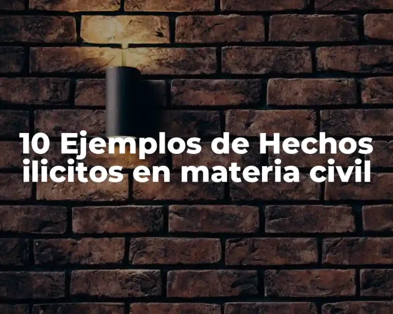 10 Ejemplos de Hechos ilicitos en materia civil