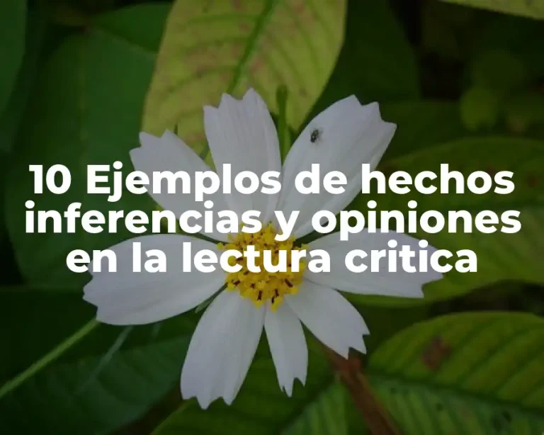 10 Ejemplos de hechos inferencias y opiniones en la lectura critica