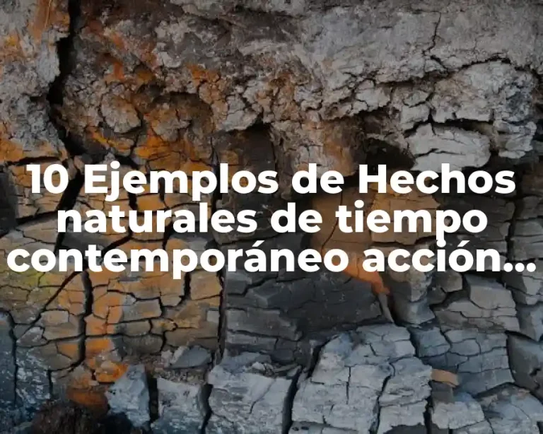 10 Ejemplos de Hechos naturales de tiempo contemporáneo acción humana