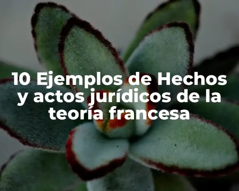 10 Ejemplos de Hechos y actos jurídicos de la teoría francesa