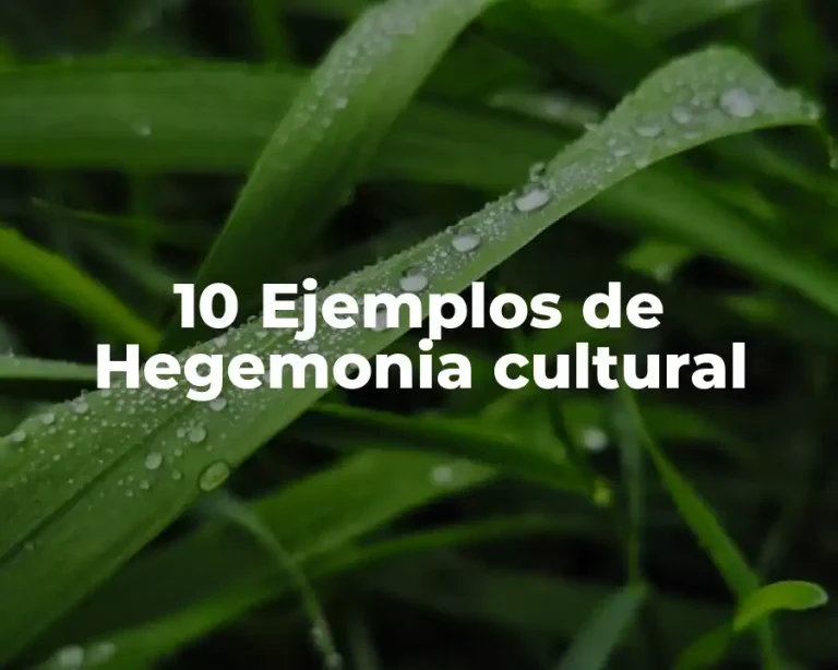 10 Ejemplos de Hegemonia cultural