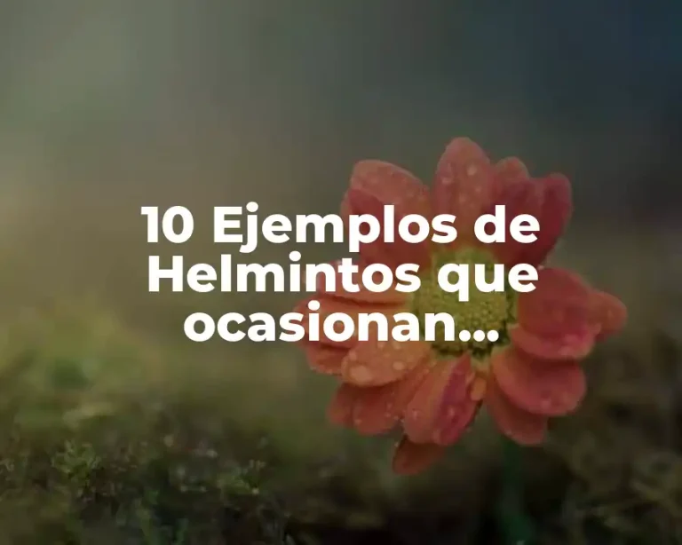 10 Ejemplos de Helmintos que ocasionan enfermedades por el agua