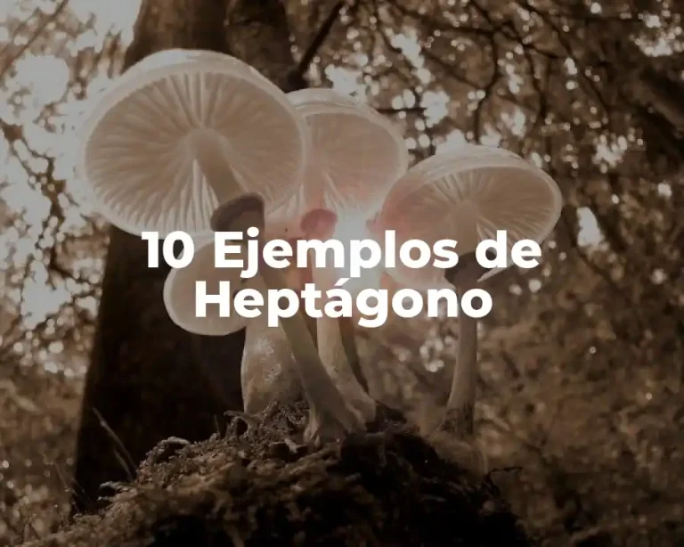 10 Ejemplos de Heptágono