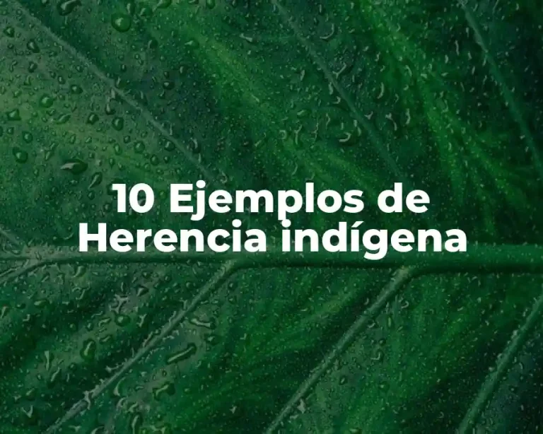 10 Ejemplos de Herencia indígena