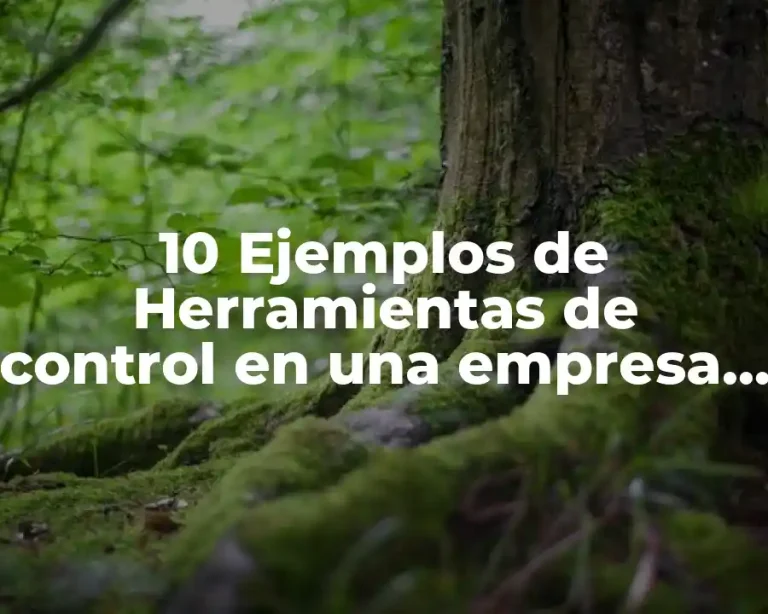 10 Ejemplos de Herramientas de control en una empresa de calzado