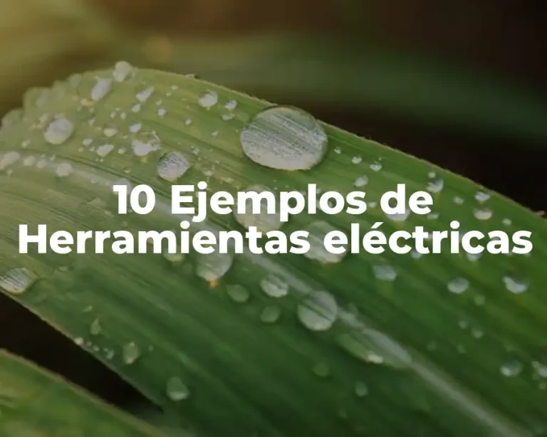 10 Ejemplos de Herramientas eléctricas
