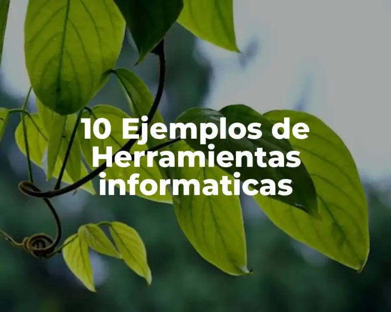 10 Ejemplos de Herramientas informaticas